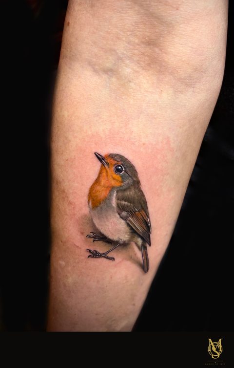 Tatouage réaliste couleur, rouge-gorge, avant-bras, par Matilda