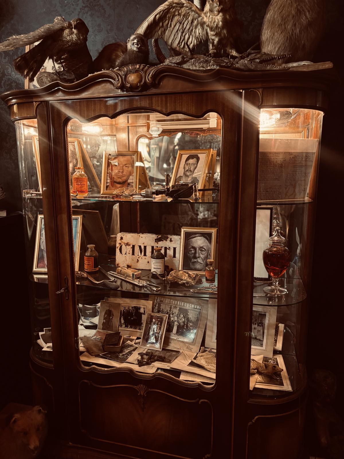 Vitrine-cabinet de curiosités