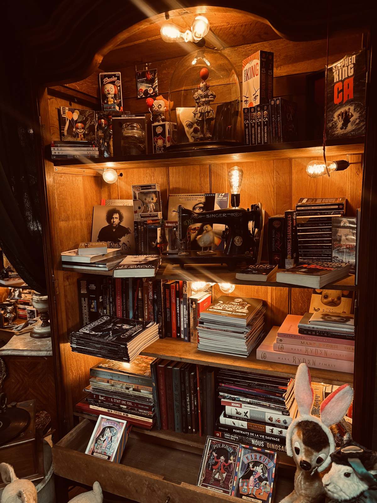 La bibliothèque du cabinet de curiosités